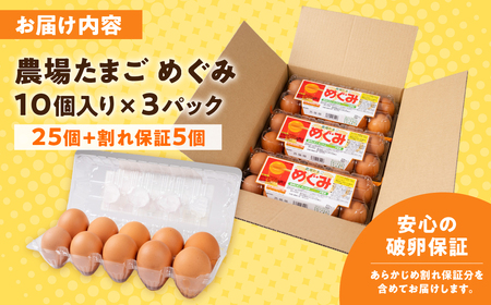 農場たまご めぐみ 30個 定期便3回　割れ保証付き 卵 たまご 鶏卵 30 赤玉 新鮮 毎月お届け 3回 3か月 イラコファーム 愛知県 田原市