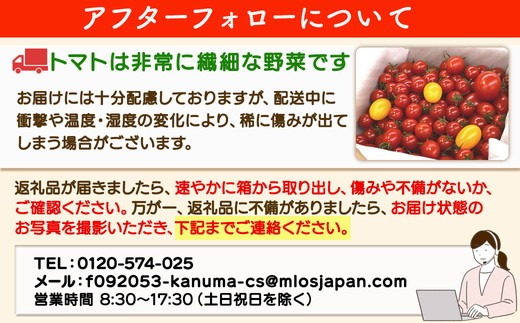 栃木県 鹿沼産 高糖度フルーツトマト ”とまおとめ” 2品種食べ比べBOX（アイコ・フルティカ） | 野菜 トマト ミニトマト カキヌマファーム 濃厚 贈り物 新鮮 高糖度 リコピン ビタミン ダイエット 美容 健康 ※2025年12月下旬～2026年6月上旬頃に順次発送予定