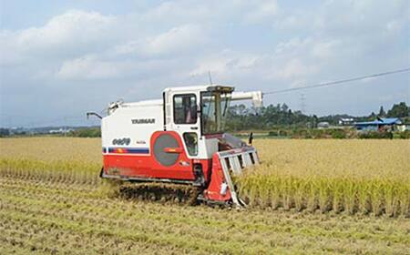 お米の定期便 特別栽培米 太地米完熟 【こしひかり】 玄米10kg×12か月連続 ブランド米 お米 人気 F7X-0395