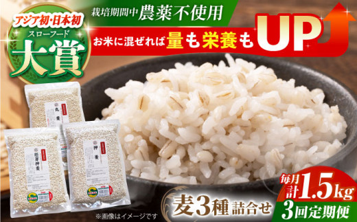【全3回定期便】栽培期間中農薬不使用 麦詰合 500g×3種 ( 押麦 胚芽押麦 丸麦 ) 【葦農】[HAJ031] 麦 雑穀 雑穀米 麦ごはん 1等麦 特別栽培農産物 佐賀 食物繊維 500g ご飯 食べ比べ セット
