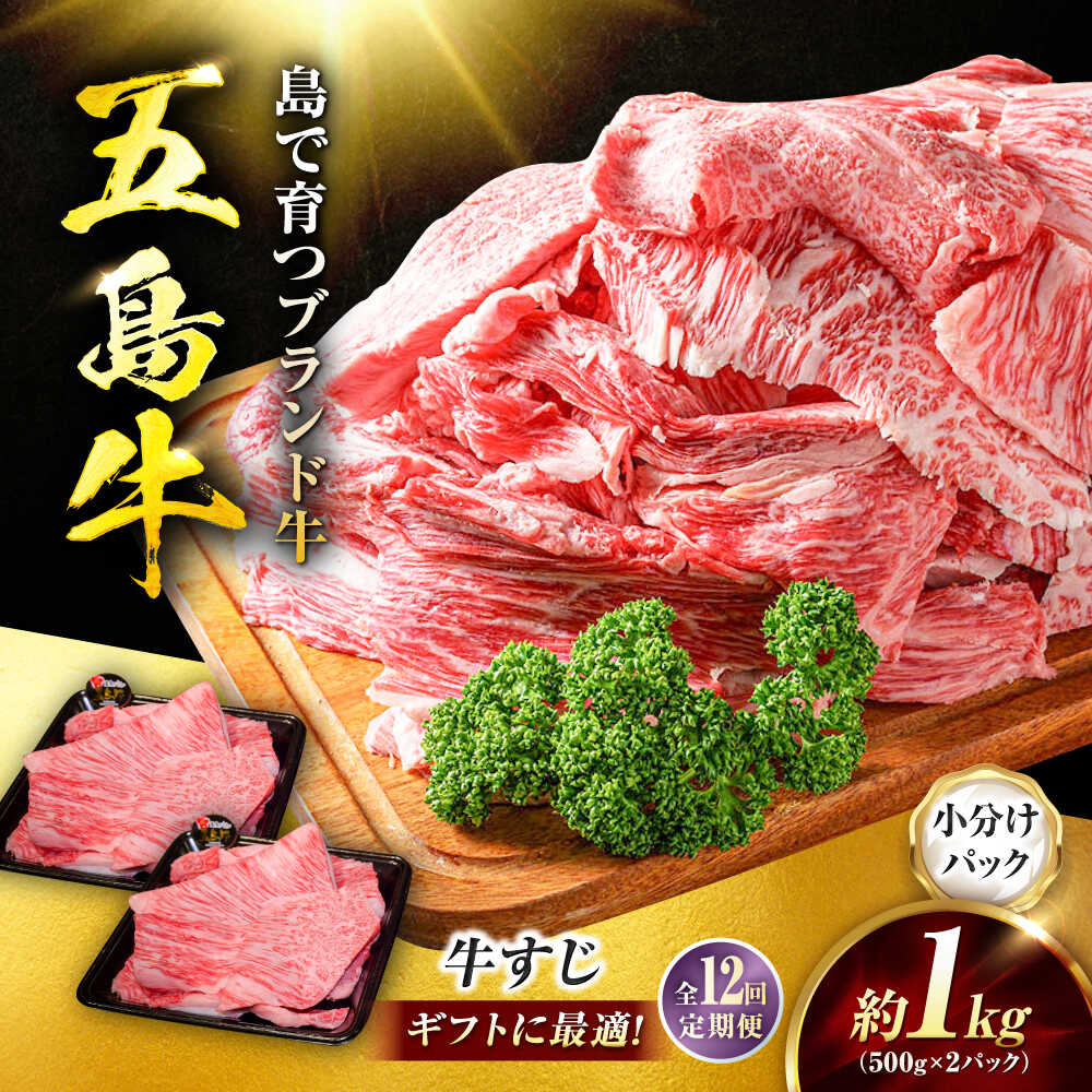 【ふるさと納税】【12回定期便】五島牛 牛すじ1kg（500g×2P）五島市/meat shop FUKU[PHF008]