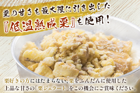 宮崎県産 低温熟成栗使用［栗ジェラート］計500g スイーツ 甘い お取り寄せ【B620-25】