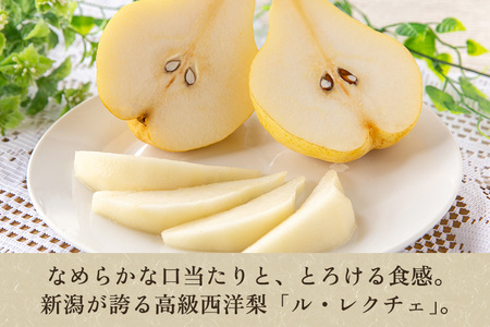 【2025年先行予約】【家庭用】 西洋梨ル・レクチェ 約4kg （9～14玉） 《11月下旬以降発送》 幻の洋梨 いりえくだもの園