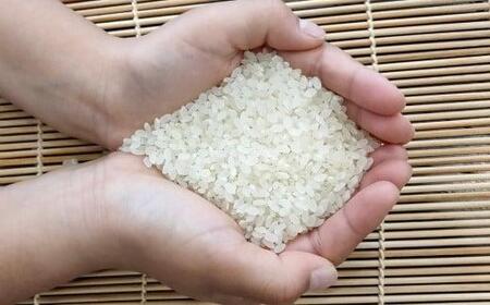 【 6ヶ月定期便 】【京都 農家直送】ヒノヒカリ 8kg × 6回 精米（米 精米 ヒノヒカリ ひのひかり 定期便 ヒノヒカリ こめ コメ ごはん 京都 ヒノヒカリ 宇治田原 ヒノヒカリ ）