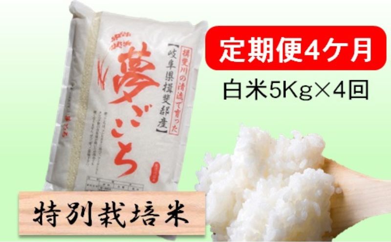 定期便4カ月【令和7年産】特別栽培米5kg【白米】(夢ごこち) 米 お米 白米 コメ ご飯 定期 岐阜県 池田町