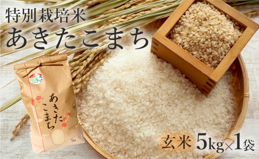 玄米 あきたこまち 5kg 令和7年産 米 こめ お米 おこめ 令和7年 特別栽培米 産地直送 ご飯 ごはん 秋田こまち 秋田 秋田県 能代市 特別栽培 減農薬