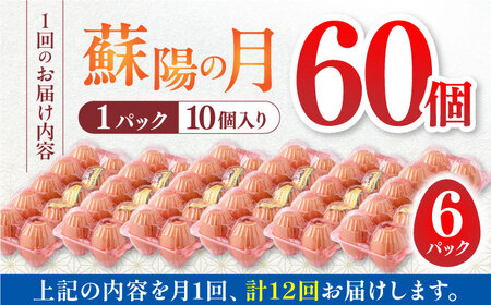 【全12回定期便】蘇陽の月 こだわり卵 60個入り ( 10個入り × 6パック ) 山都町卵 熊本県産卵 卵 新鮮卵 高品質卵 卵 小分け卵 卵焼き パック卵 高評価卵 美味しい卵 笑顔の卵 卵かけ