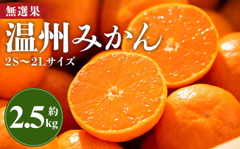 みかん 温州みかん 2.5kg 小玉大玉 柑橘 【無選果】 大小混合 フルーツ 果物 山のてっぺん間城農園みかん 甘い 山北みかん - ミカン 蜜柑 柑橘 柑橘類 フルーツ 果物 くだもの 甘い サイ