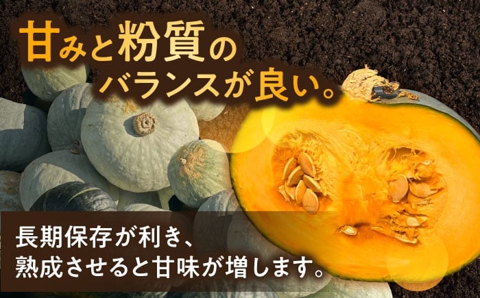 かぼちゃ カボチャ とっておき  北海道産 足寄町 北海道