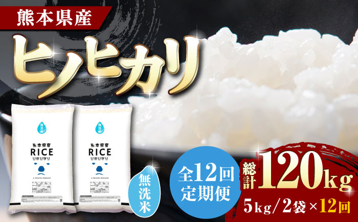 
            【全12回定期便】 ヒノヒカリ 無洗米10kg【有限会社  農産ベストパートナー】定期便 10kg 無洗米 精米 特A ヒノヒカリ ひのひかり コメ 米 お米 熊本県 熊本県産  [ZBP080]
          