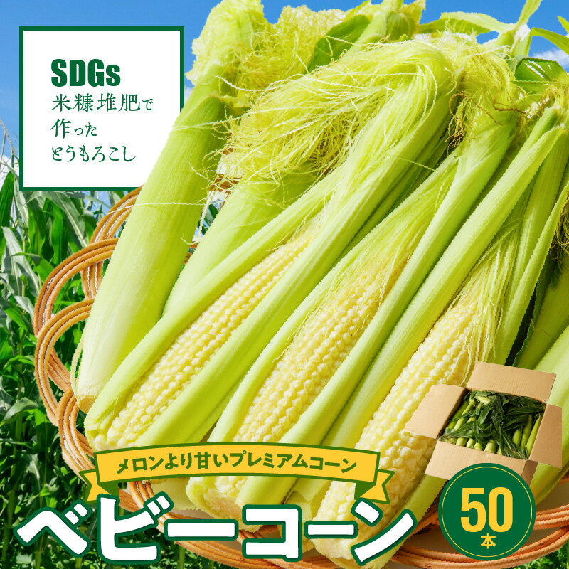 【ふるさと納税】 2025年5月より順次出荷 農家直送 ベビーコーン とうもろこし 50本 甘い シャキシャキ 食感 旬の味 八宝菜 サラダ 野菜 オーブン焼き お取り寄せ 酒見農産 福岡県 久留米市 送料無料