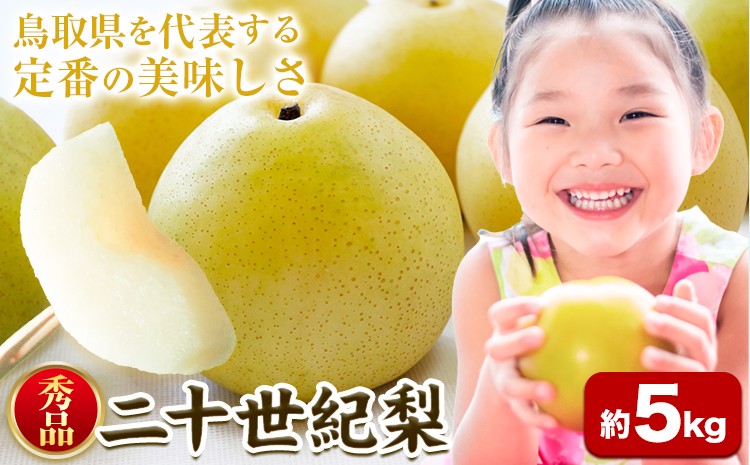 梨 なし【2026年先行予約】【秀品(赤秀)】二十世紀梨 約5kg《2026年8月下旬-9月下旬頃出荷》鳥取県 八頭町 梨 なし 果物 フルーツ 特産品 秀品 赤秀 贈答用 先行予約 送料無料 果汁 デザート