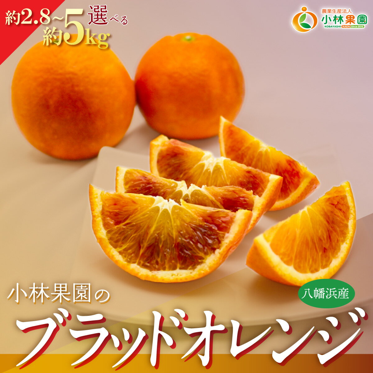 【ふるさと納税】【先行受付】小林果園のブラッドオレンジ選べる内容量 約2.8kg/約5kg ふるさと納税 オレンジ フルーツ 果物 2.8kg 5kg 産地直送 八幡浜市 送料無料
