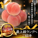 【ふるさと納税】【海外セレブの嗜好品】わずか5%しか許されない糖度16度以上樹上完熟ブランド桃2025年8月中旬発送【配送不可地域：離島・北海道・沖縄県・中国・四国・九州】【1464208】