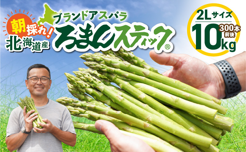 
            ロマンス農園 ろまんスティック 2Lサイズ 10kg　T049-008
          