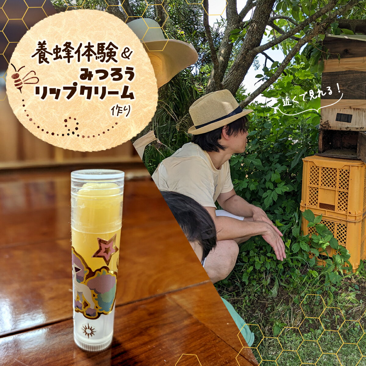 【ふるさと納税】 養蜂体験＆みつろうリップクリーム作り ふるさと納税 養蜂 みつろう ミツバチ 蜜蜂 無添加 体験 リップクリーム 千葉県 香取市 送料無料 SOR002