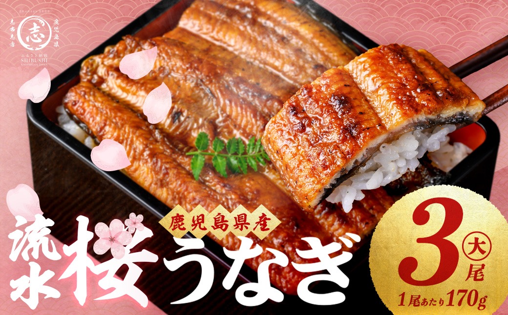 ＜入金確認後、2週間以内に発送！＞ 熟練の技が冴える！うなぎの柳澤 至極うなぎ蒲焼き3尾(計510g) b2-016-2w