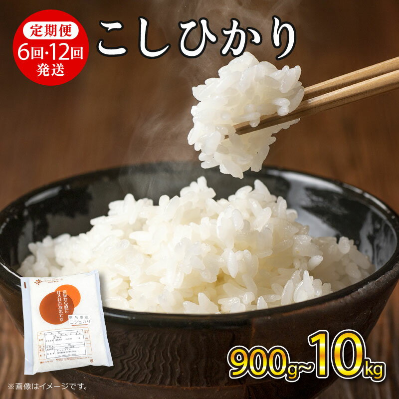 【ふるさと納税】 令和7年産 米 コシヒカリ 定期便 900g ~ 10kg 5kg お米 精米 白米 こめ おこめ 3kg 2kg 6回 12回 毎月 隔月 2025年産 R7 ふるさと米 ご飯 一人暮らし お試し 国産 産地直送 ギフト プレゼント 贈答 ふるさと納税 宿毛市 高知県