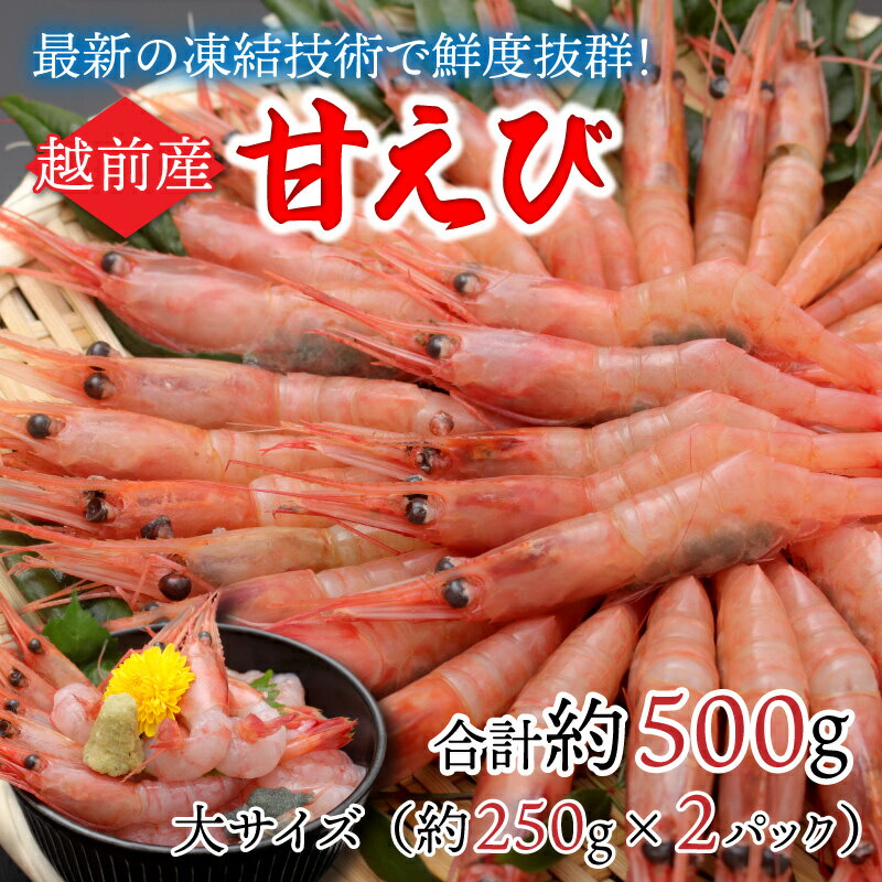 【小分け】冷凍甘えび 大サイズ 500g (30～40尾)