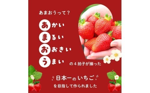 福岡県産あまおう 270g×4パック【2026年3月発送開始】