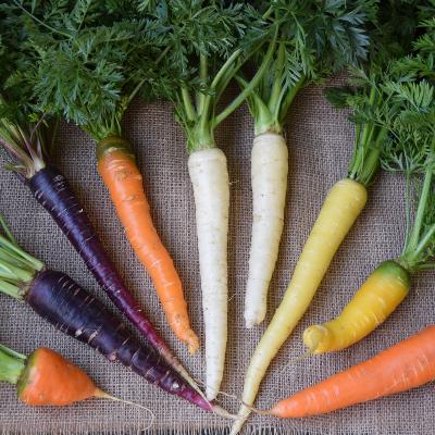 ふるさと納税 御所市 多品目栽培農家の、個性豊かな野菜おまかせつめあわせセット |  | 02