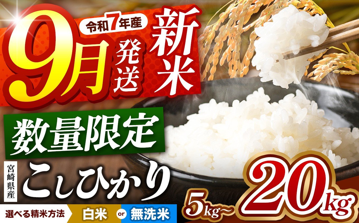 宮崎県産 こしひかり 新米（白米）10kg
