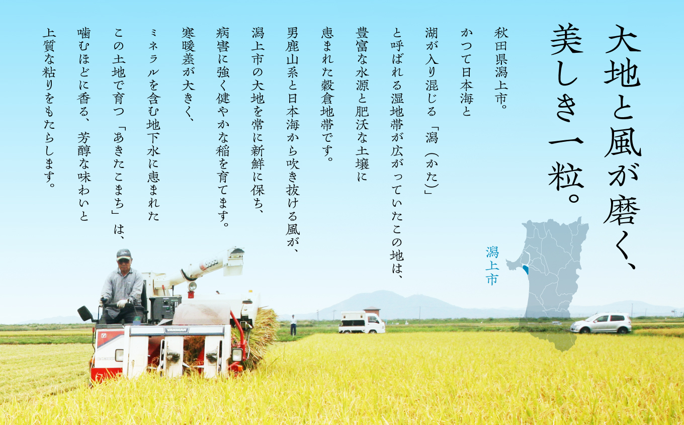 《新米先行予約》【毎月届く】令和8年産 秋田県産あきたこまち 白米 定期便6回 20kg×6回 計120kg 秋田のこまち農場 潟上市