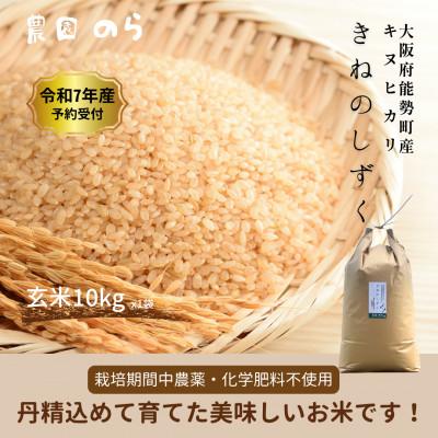 ふるさと納税 能勢町 令和7年産きぬひかり「きねのしずく」10kg(玄米)栽培期間中農薬・化学肥料不使用