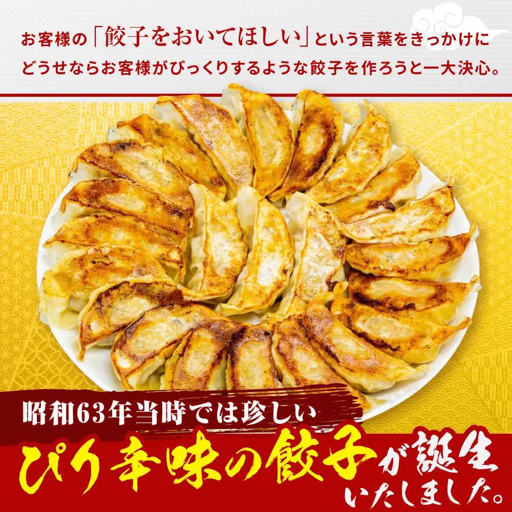 ニンニク不使用 ぴり辛餃子 10パック120個 京都 小分け 餃子 人気 ラーメン横綱