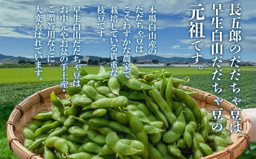 数量限定【令和7年産先行予約】 白山だだちゃ豆　1.5kg+200g 鶴岡市白山産　長五郎