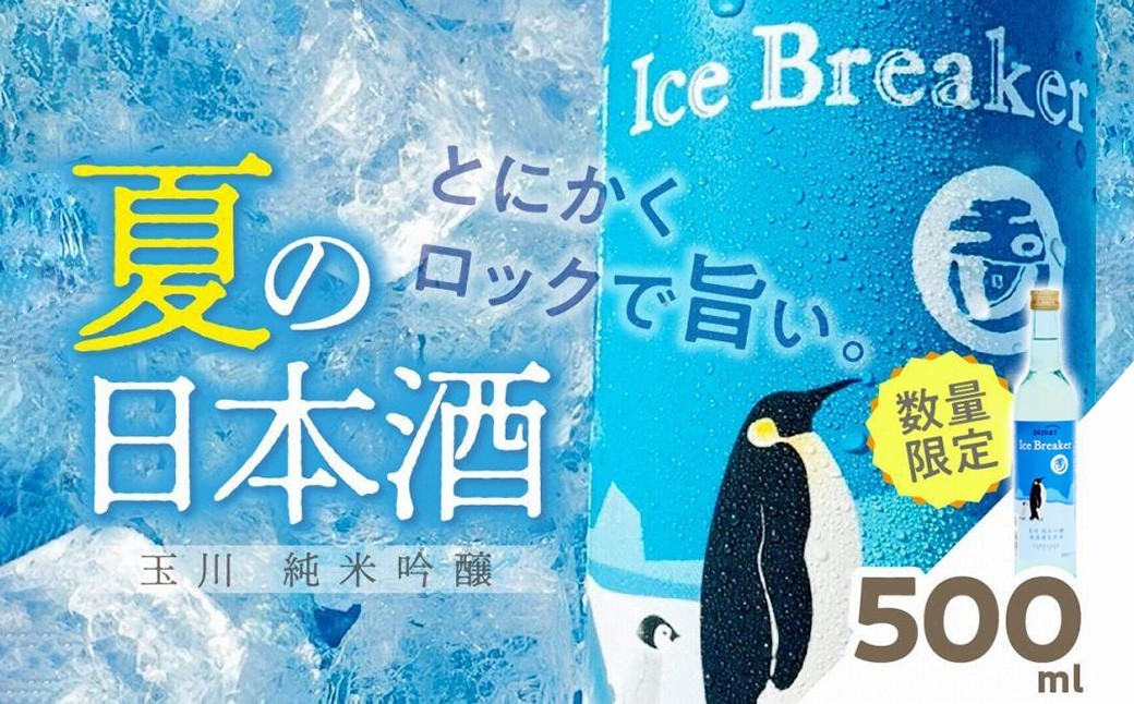 
                  玉川 純米吟醸 Ice Breaker　500ｍl　玉川 純米吟醸 Ice Breaker　500ml お酒 酒 酒好き 日本酒 日本酒ロック お祝い 誕生日 手土産 限定 京都 地酒 数量限定 プレミアム 送料無料 お試し ふるさと納税 日本酒 アルコール 夏　AM00676
                