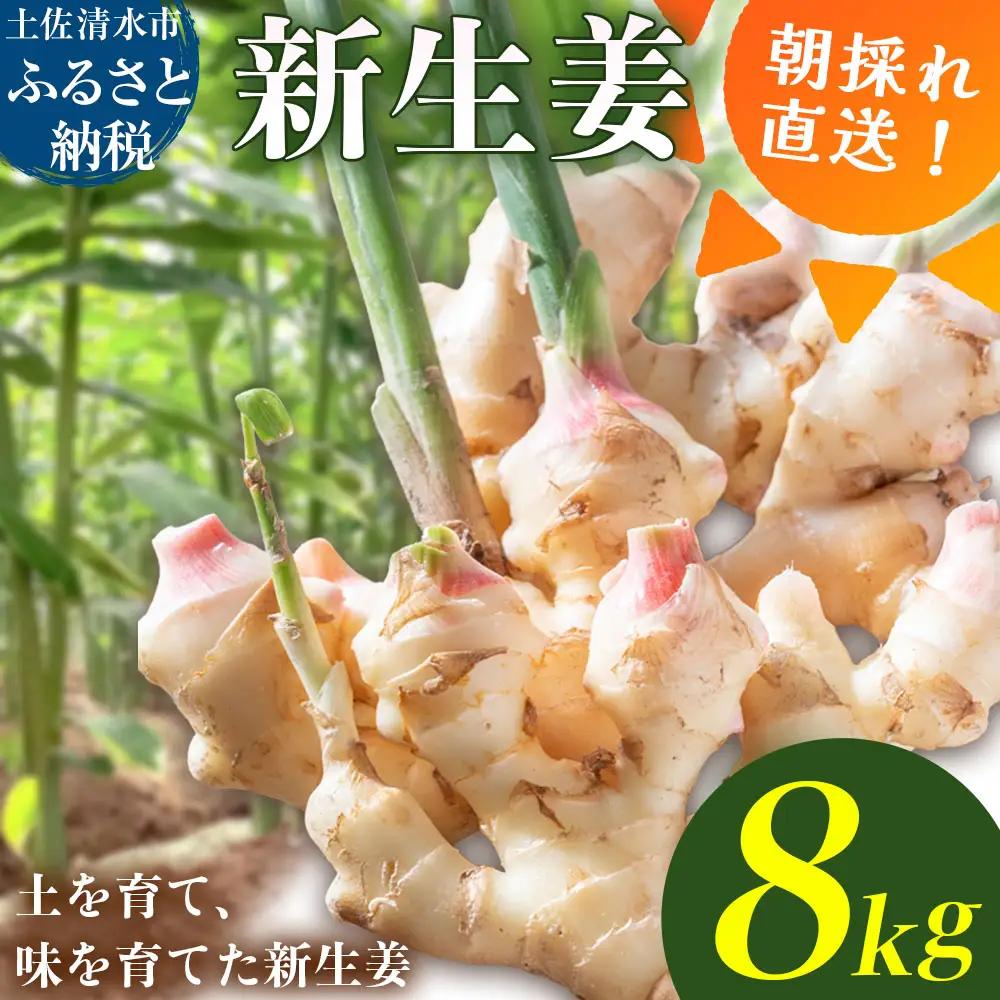 新生姜 8kg（4kg×2箱）水洗いのみ【R01776】