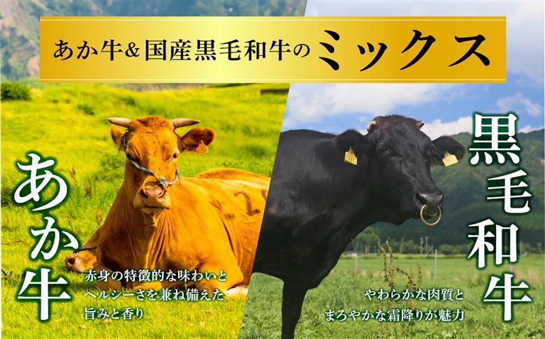 【選べる内容量】【畜協直】 国産和牛切り落とし （あか牛＆黒毛和牛のミックス） 1350g あか牛 黒毛和牛 和牛 肉 ブランド牛 国産 牛肉 詰め合わせ 食べ比べ 人気 豪華 美味しい 希少 熊本 