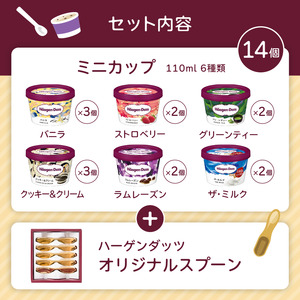 スタンダードセット／ハーゲンダッツ