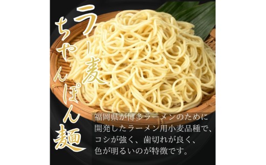もつ鍋 牛もつ スープ ちゃんぽん麺 セット 20人前 [Esprit 福岡県 筑紫野市 21761542] 国産 もつ モツ鍋 もつ鍋セット モツ鍋セット 冷凍 博多 ヤマタカ醤油 ラー麦 ちゃんぽ
