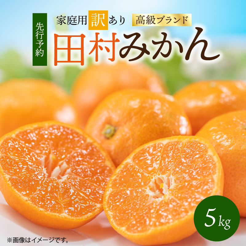 G7342_【2026年先行予約】高級ブランド 田村みかん 約5kg【家庭用 訳あり】