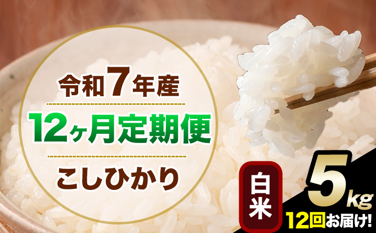 【12ヶ月定期便】令和7年産 定期便 こしひかり 白米 定期便 5kg 精米 熊本県産(南阿蘇村産含む) 単一原料米 南阿蘇村《お申し込みの翌月から出荷》---kh7tei_126000_5kg_mo12_mna_h---