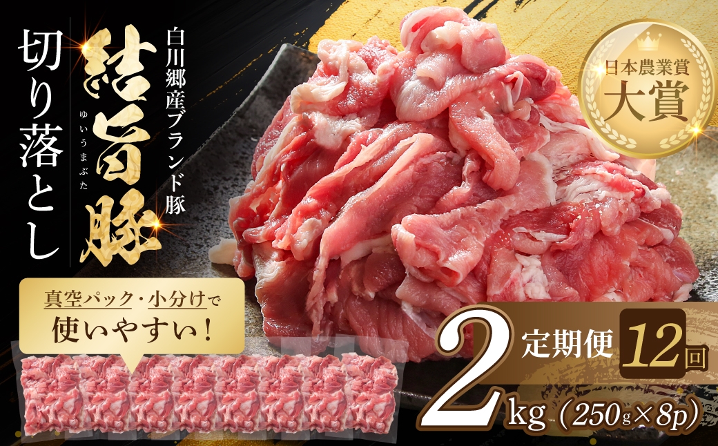 
                  《 定期便 》全12回 結旨豚 ウデ又はモモ 切り落とし 250g×8p（計2kg） トレーなし 簡易包装  ｜ 肉 お肉 豚肉 国産 切り落とし 切落し 薄切り 訳あり 白川郷 岐阜県 白川村 ブランド豚 人気 おすすめ ギフト 飛騨高山ミート
                