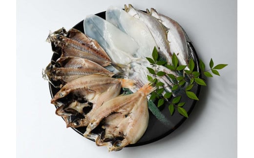 山陰浜田極味 四種一夜干し（のどぐろ、アジ、イカ、カレイ 各2枚）【164_1841】