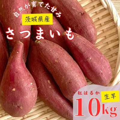 
＜茨城県産＞生さつまいも 紅はるか 10Kg【1437617】
