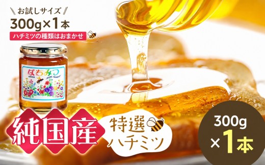 芳川養蜂場特選ハチミツ 約300g × 1本 | ハチミツ はちみつ 蜂蜜 国産 長野県 信州 木島平村