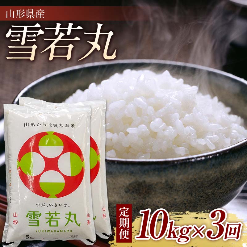 【ふるさと納税】 【令和7年度産】山形県産雪若丸10kg（5kg×2） 全3回 ≪2025年10月より順次発送≫ F2Y-3923