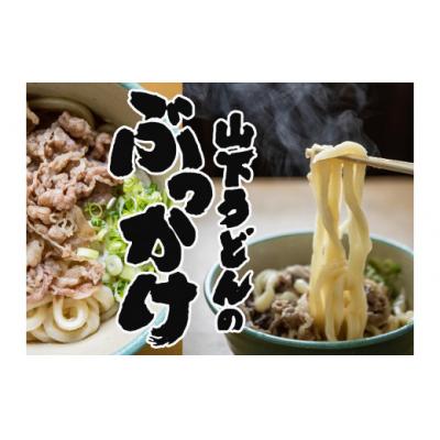 ふるさと納税 善通寺市 山下うどん(2)(20食)