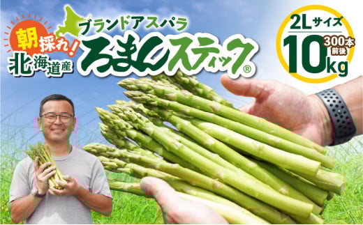 ロマンス農園 ろまんスティック 2Lサイズ 10kg　T049-008