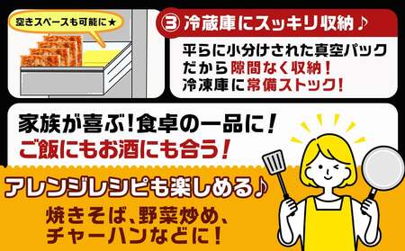 やみつき豚ホルモン!3kg!真空小分けパック!≪みやこんじょ特急便≫_AA-3307-Q_(都城市) 国産豚 ホルモン 味付き 300g×10P 3kg 小分け 真空パック 