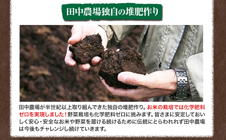特別栽培米 コシヒカリ 10kg（5kg×2袋）有限会社 田中農場《90日以内に出荷予定(土日祝除く)》鳥取県 八頭町 米 お米 ご飯 送料無料