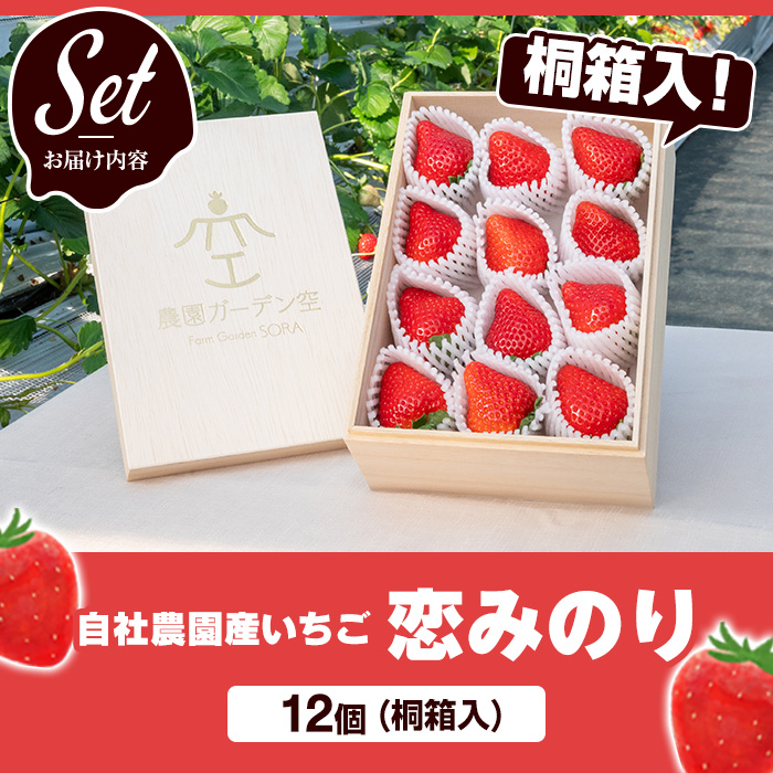 ＜2025年1月以降発送予定＞桐箱入！自社農園産いちご 恋みのり(計12個) 鹿児島 阿久根 自社農園 果物 フルーツ イチゴ いちご 苺 恋みのり 贈答用 ギフト 桐箱 デザート 期間限定【農園ガー