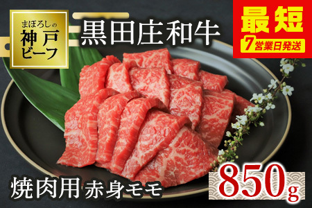 神戸牛 焼肉 赤身モモ 850g 冷蔵 スピード発送 神戸牛