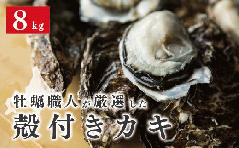 【国内消費拡大求む】<先行予約2024年11月発送>牡蠣職人が厳選した殻付きカキ 8kg（生食可）牡蠣　かき　カキ　海鮮　魚介　国産　殻付き　冷蔵　焼き牡蠣　蒸し牡蠣　産地直送　生牡蠣　生食　サロマ湖