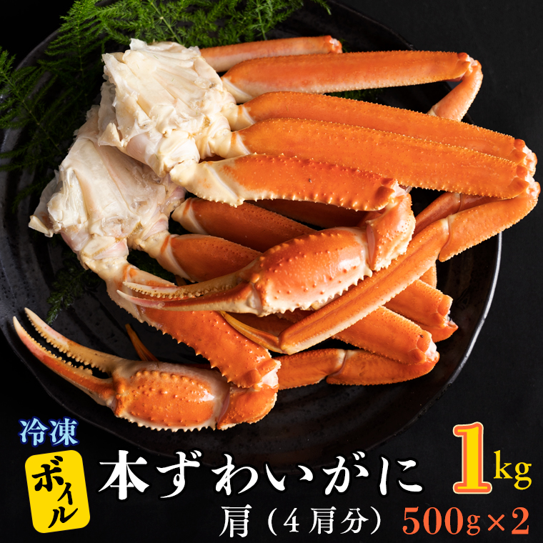 【12月25日決済確定分まで年内発送】 ボイル 本ずわいがに 1kg 4肩 (500g × 2) カジマ ずわい蟹 ズワイガニ ずわいがに かに カニ 蟹